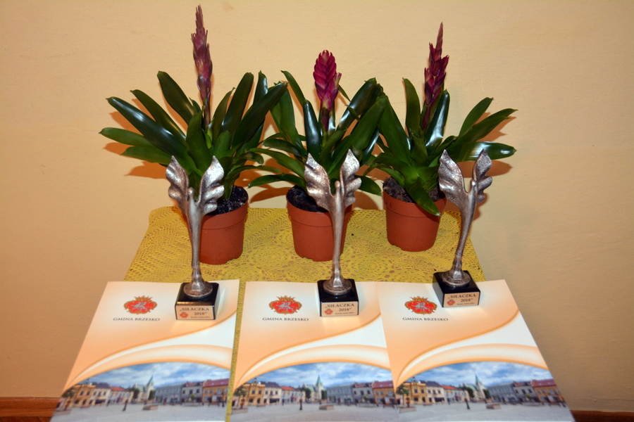 Panie świętowały w Jasieniu