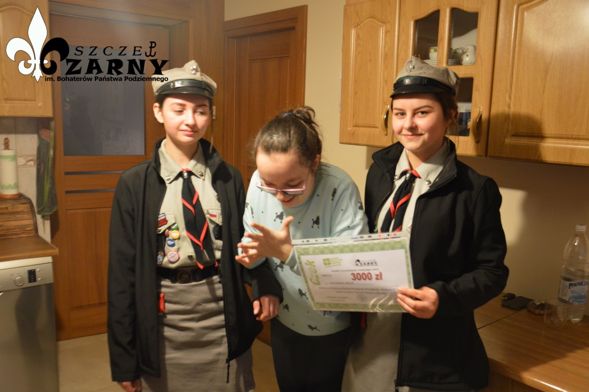 Dzień myśli braterskiej