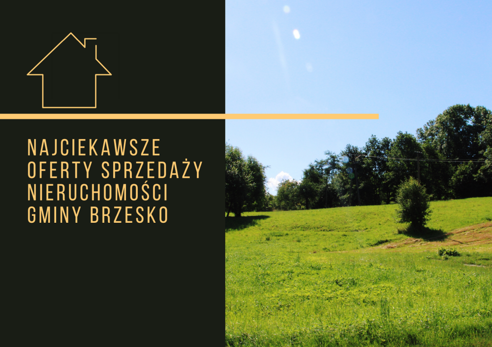 NAJCIEKAWSZE OFERTY SPRZEDAŻY NIERUCHOMOŚCI NALEŻĄCYCH DO GMINY BRZESKO