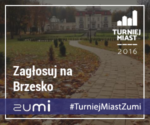 Zagłosuj na Brzesko!