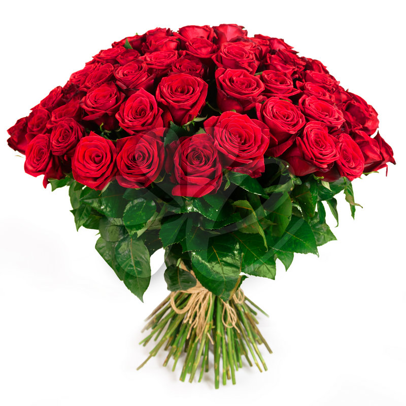 8 marca – Dzień Kobiet