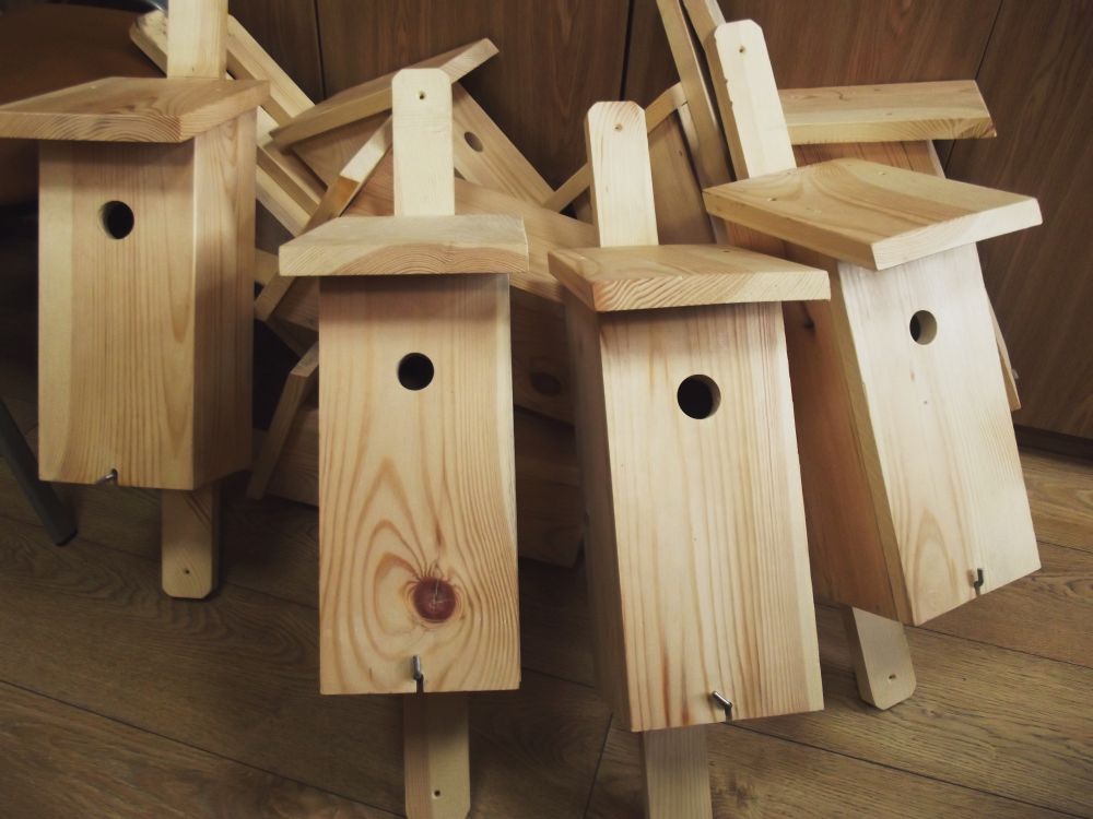 Ścieżka edukacyjno-ekologiczna w Lesie Szczepanowskim