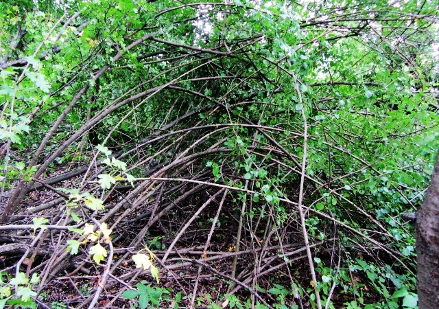 Gminne grunty i dopłaty bezpośrednie