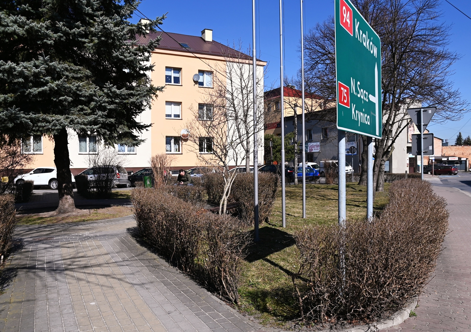 Rewitalizacja skweru na placu Zwycięstwa