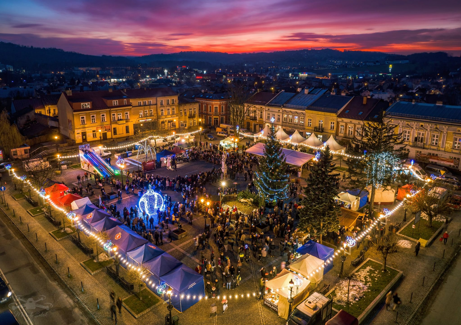 Brzesko poszukuje choinki!