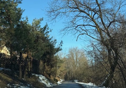 Przycinka suchych konarów drzew nad pasem drogi