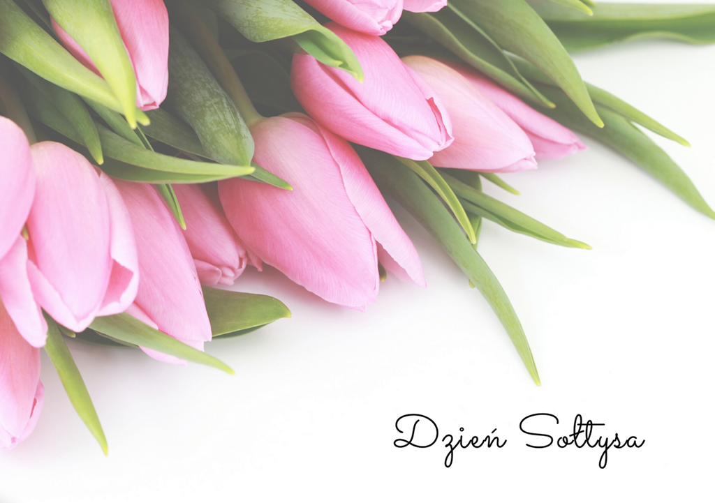 Dzisiaj Dzień Sołtysa