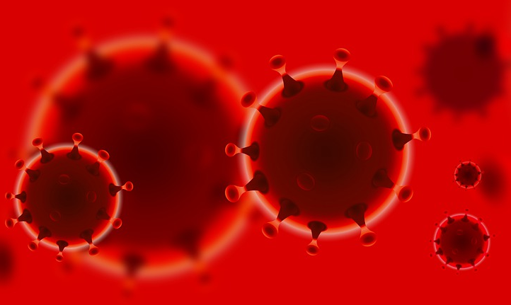 #zostajewdomu,  czyli co można, a czego lepiej nie robić  w czasie epidemii koronawirusa SARS-CoV-2