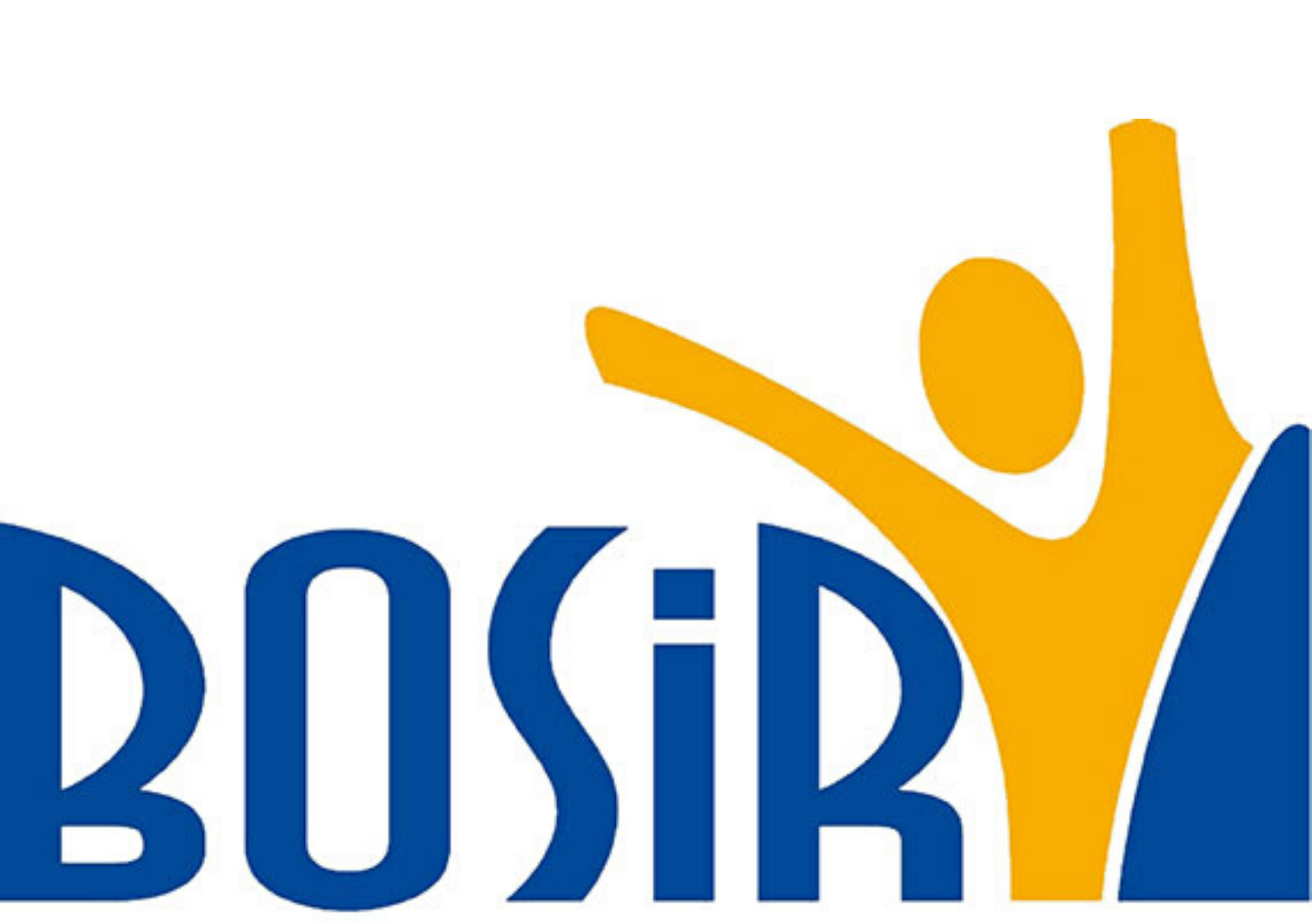 BOSiR dla rodzin wielodzietnych