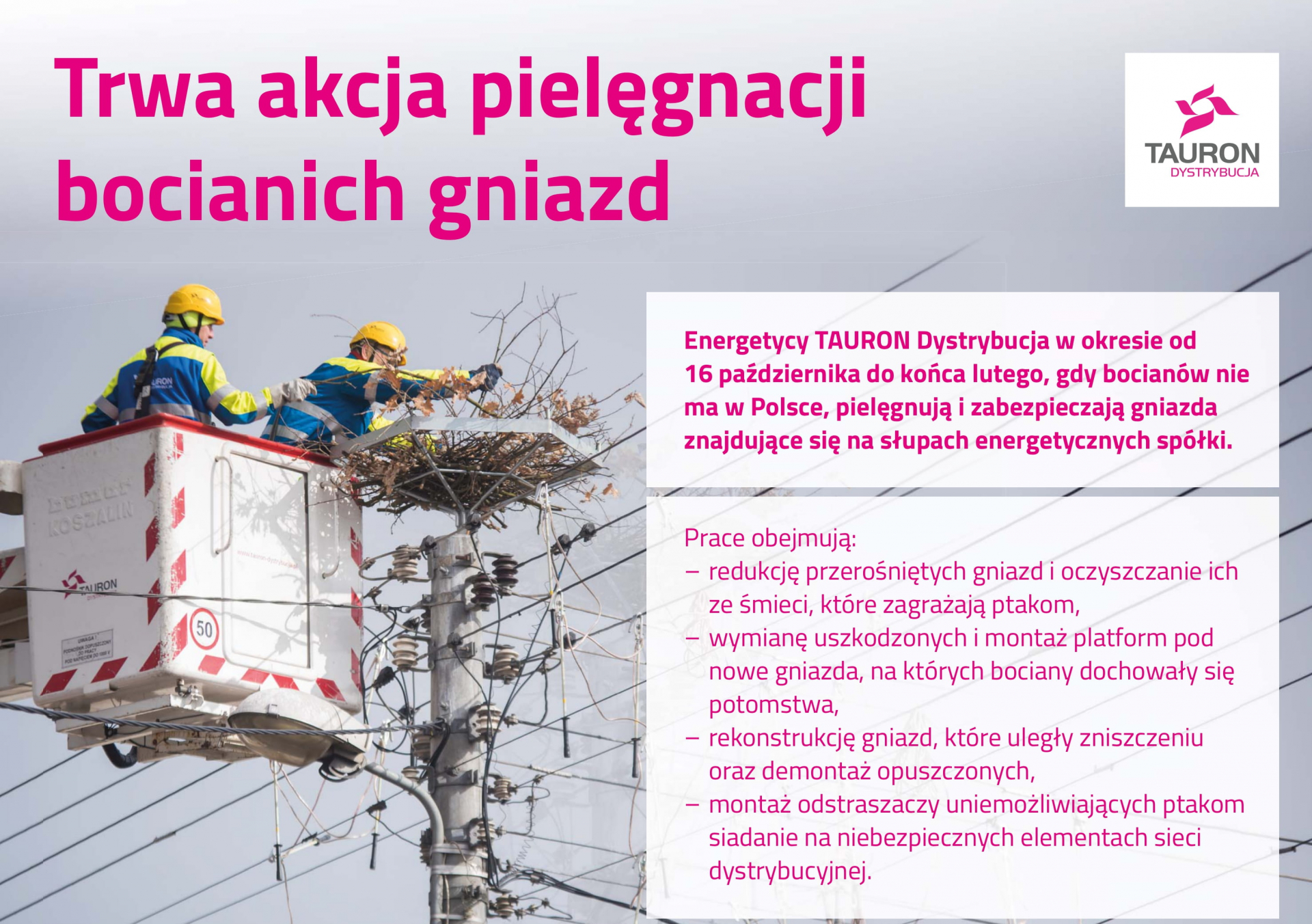 Zimowa opieka nad bocianimi gniazdami