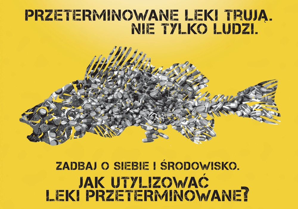 Martwe karpie i brudna woda. Dlaczego utylizacja leków przeterminowanych jest tak ważna?