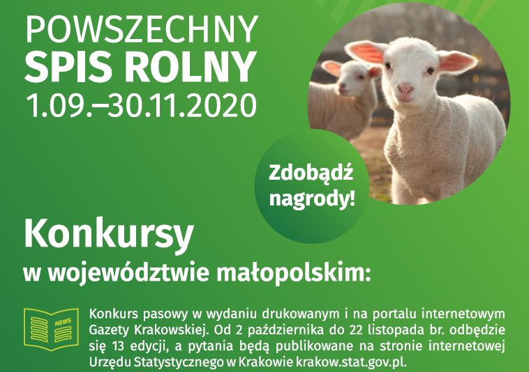 Konkursy Urzędu Statystycznego w Krakowie