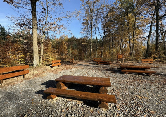 Miejsce odpoczynku w Lesie Szczepanowskim