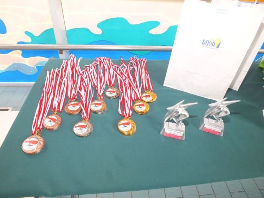 XI Zawody Pływackie z okazji Dnia Flagi RP