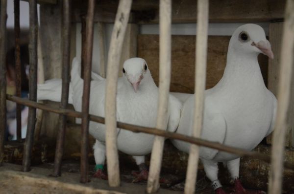 Wystawa Zbigniewa Ważydrąga