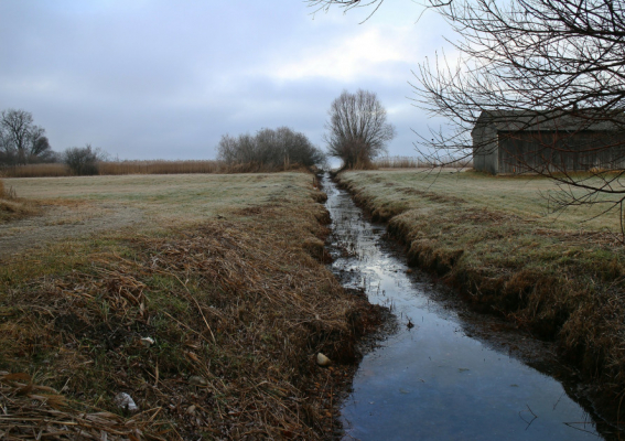 Przypomnienie o systematycznej konserwacji rowów melioracyjnych