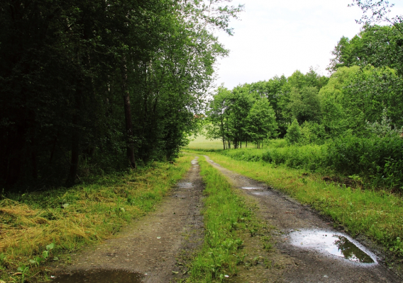 Stroma zostanie okiełznana