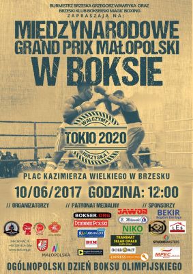 Ogólnopolski Dzień Boksu Olimpijskiego