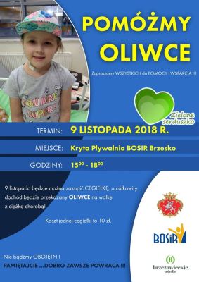 Nie bądźmy obojętni – pomóżmy Oliwce