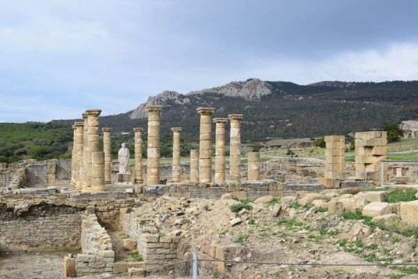 Profesjonalna kadra – szansą współczesnej szkoły