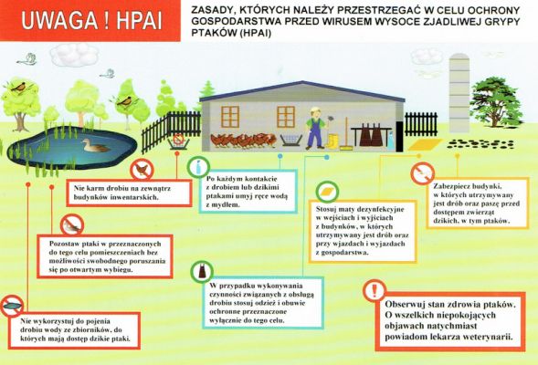 Apel do hodowców drobiu