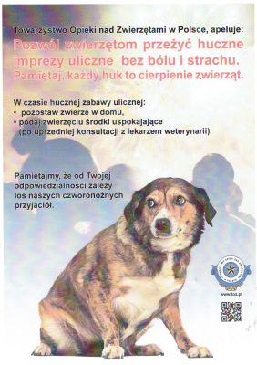 Zabezpieczmy zwierzęta domowe w noc sylwestrową