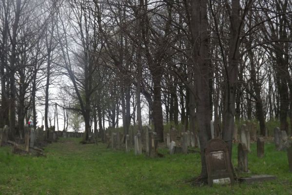 Sprzątanie cmentarza żydowskiego