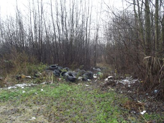 Dzikie wysypiska zagrażają zdrowiu i życiu