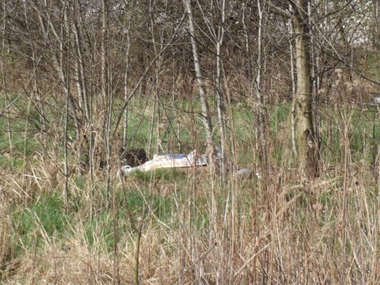 Gmina porządkuje swoje tereny