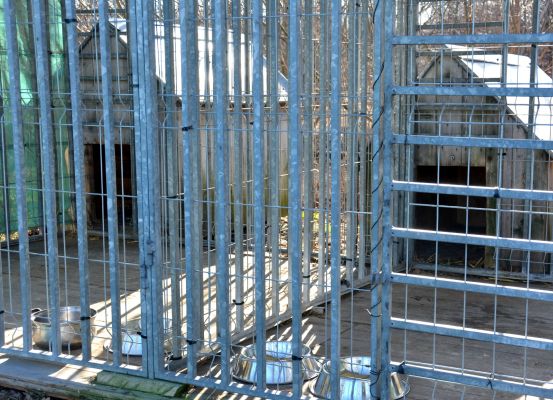 Gmina Brzesko dba o bezdomne i bezpańskie psy.