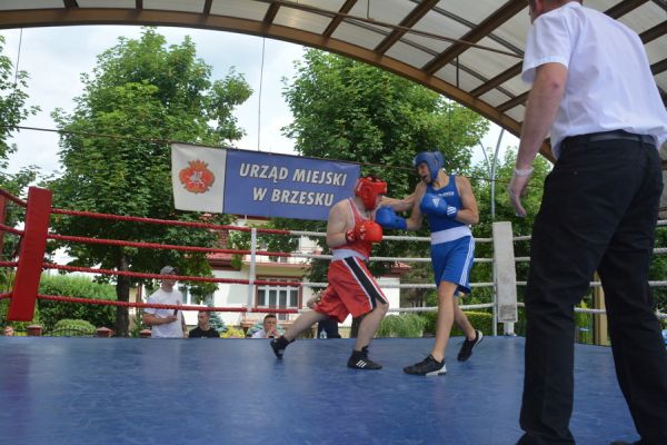 Boks olimpijski  w Brzesku