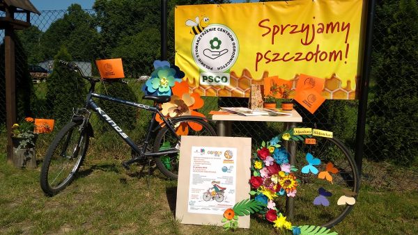 „Odjazdowy bibliotekarz” w ogrodach