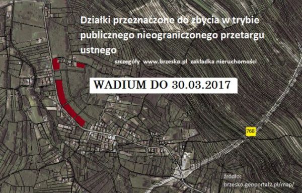 Przetarg na zbycie nieruchomości w Mokrzyskach