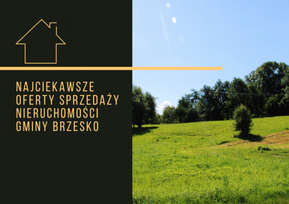 NAJCIEKAWSZE OFERTY SPRZEDAŻY NIERUCHOMOŚCI NALEŻĄCYCH DO GMINY BRZESKO
