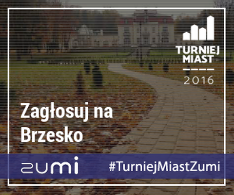 Zagłosuj na Brzesko!