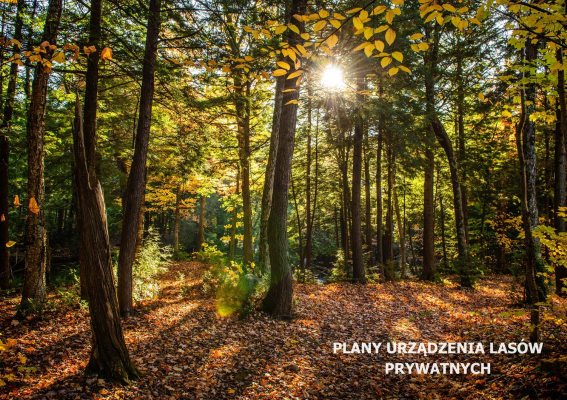 PLANY URZĄDZENIA LASÓW PRYWATNYCH