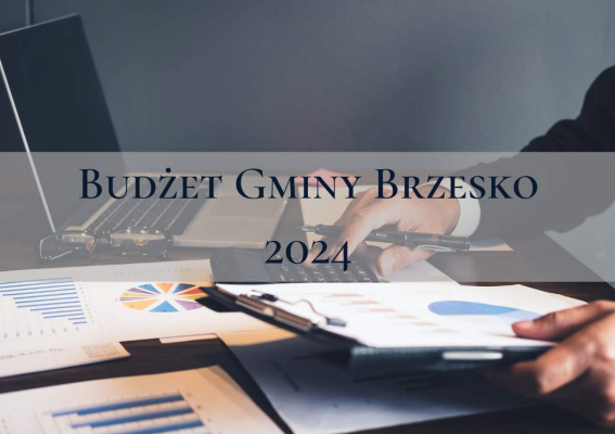 Budżet gminy na 2024 rok