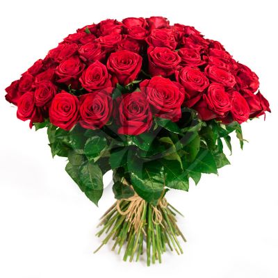 8 marca – Dzień Kobiet