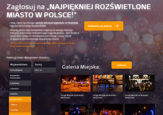 Brzesko Świetlną Stolicą Małopolski