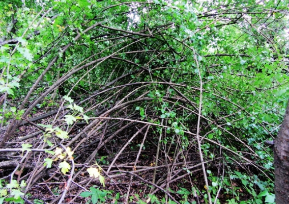 Gminne grunty i dopłaty bezpośrednie