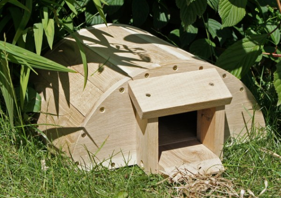 Co w sadzie piszczy?