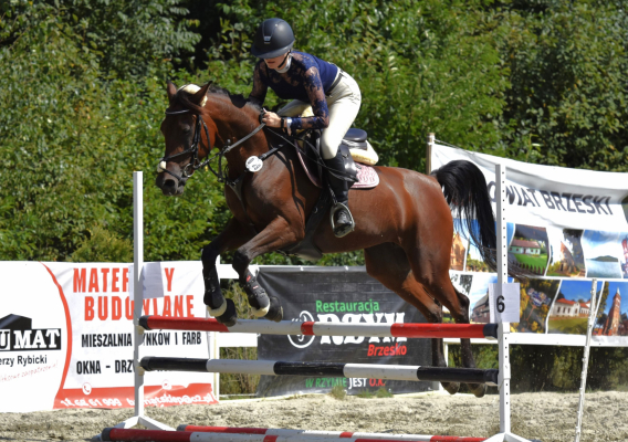 I Brzeskie Zawody Jeździeckie