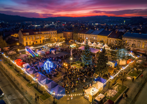 Brzesko poszukuje choinki!