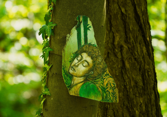 Leśna Galeria wizytówką Brzeska