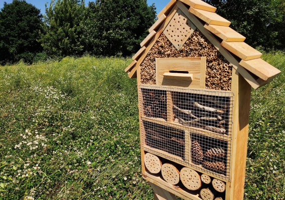 Owadzie domki na kwietnej łące