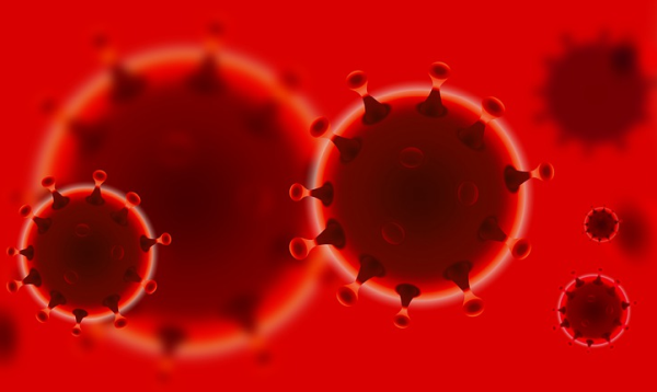 #zostajewdomu,  czyli co można, a czego lepiej nie robić  w czasie epidemii koronawirusa SARS-CoV-2