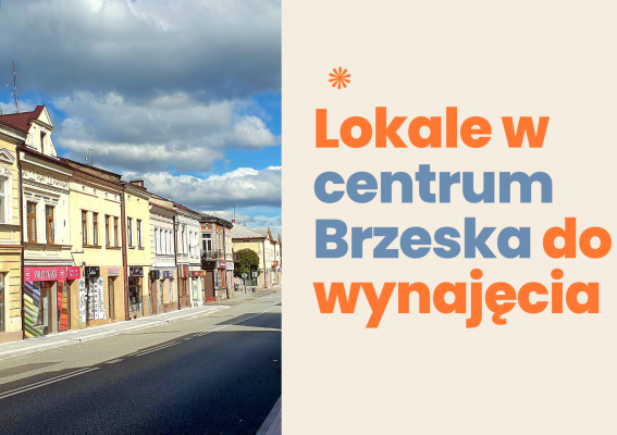 Lokale w centrum Brzeska do wynajęcia