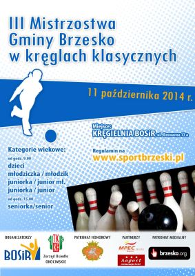 Mistrzostwa Gminy Brzesko w Kręglach 