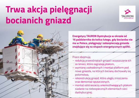 Zimowa opieka nad bocianimi gniazdami