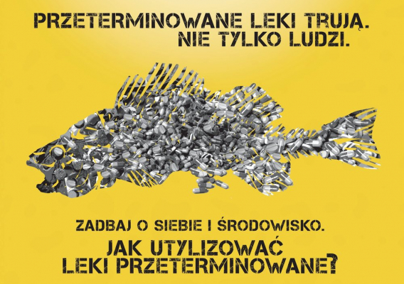 Martwe karpie i brudna woda. Dlaczego utylizacja leków przeterminowanych jest tak ważna?